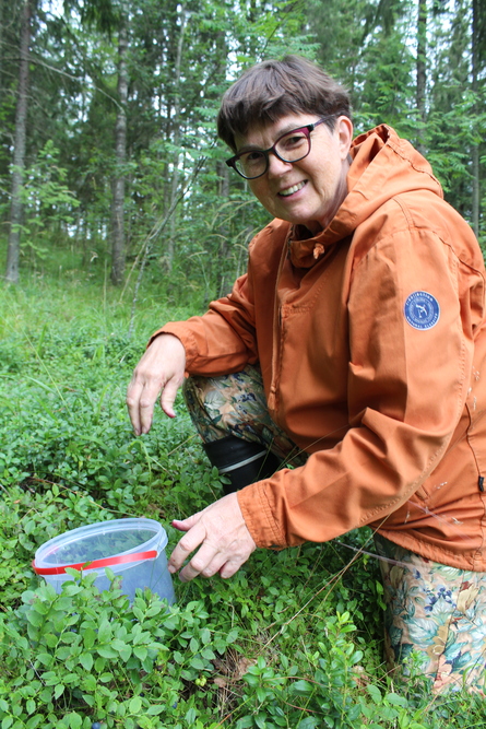 Riitta Kankaanpää marjametsässä.