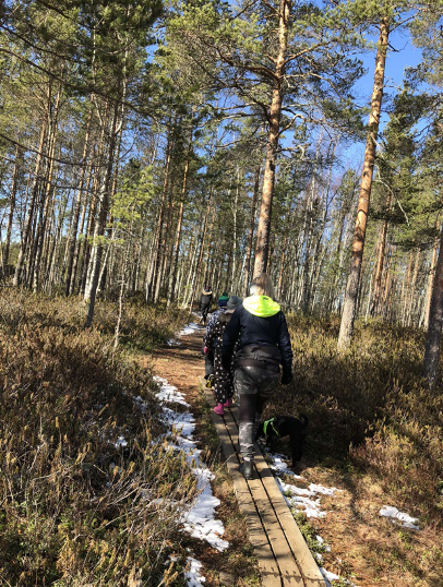 Opiskelijat ja lapset kävelevät luontopolulla.