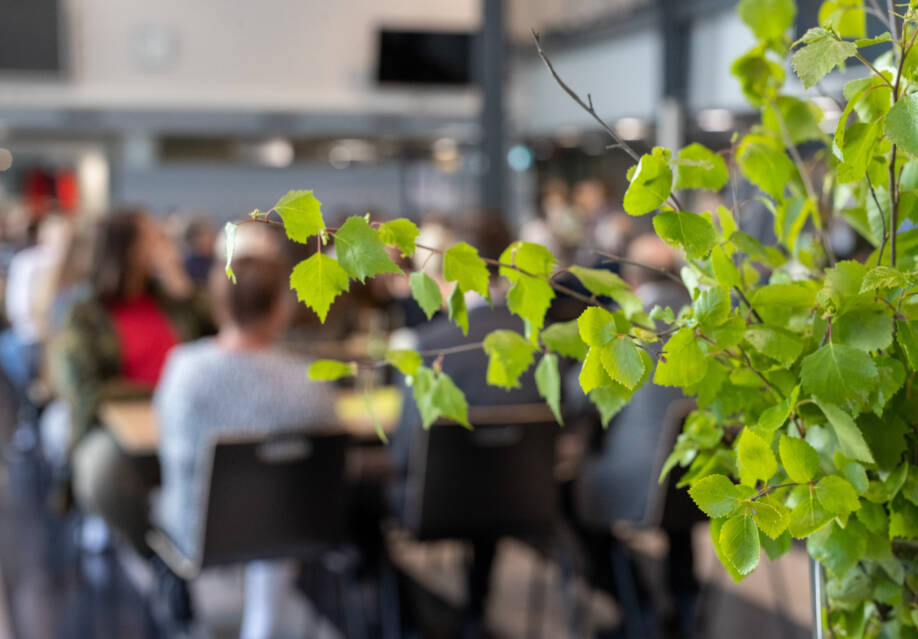 WinNovan kevään juhlat. Koivunoksia maljakossa ja taustalla juhlaan osallistuneita vieraita.