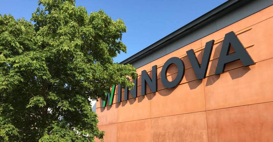 Kesäinen kuva, vaahtera oranssin seinän edessä sinistä taivasta vasten. Seinässä iso WINNOVA-logo.