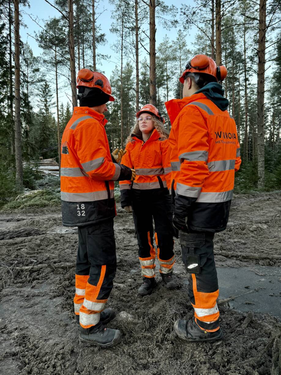 Mets Kutsuu Oma Polku WinNovasta WinNova