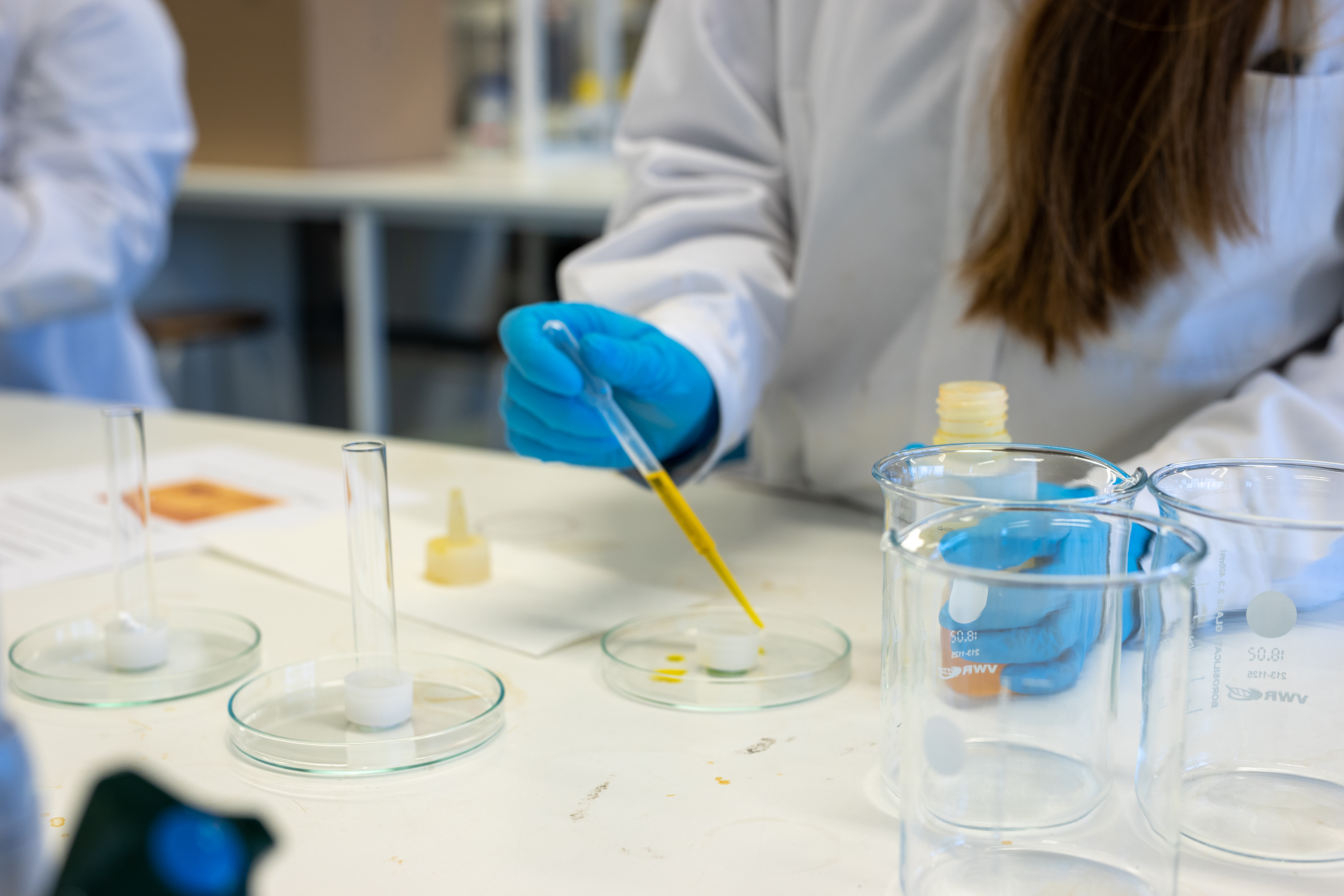 laboratorioalan työskentelyä